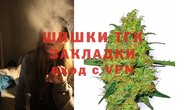 PSILOCYBIN Покачи