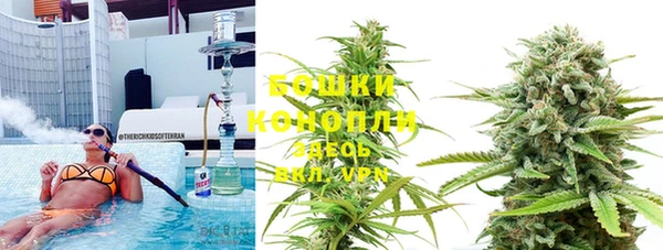 PSILOCYBIN Покачи